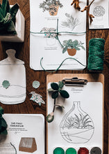 Load image into Gallery viewer, Terrarium study unit
