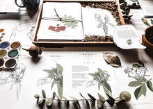 Load image into Gallery viewer, Herb and Folklore Almanac Full Year