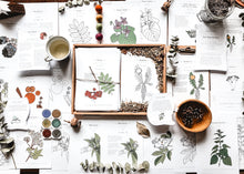 Load image into Gallery viewer, Herb and Folklore Almanac Full Year