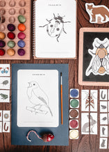 Load image into Gallery viewer, Toddler Bundle
