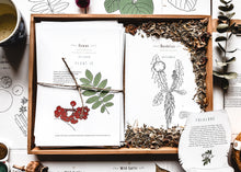Load image into Gallery viewer, Herb and Folklore Almanac Full Year