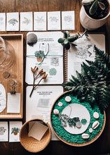 Load image into Gallery viewer, Terrarium study unit