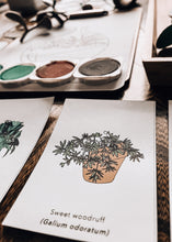Load image into Gallery viewer, Terrarium study unit
