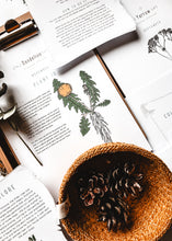 Load image into Gallery viewer, Herb and Folklore Almanac Full Year