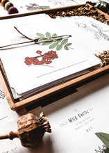Load image into Gallery viewer, Herb and Folklore Almanac Full Year