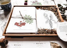 Load image into Gallery viewer, Herb and Folklore Almanac Full Year