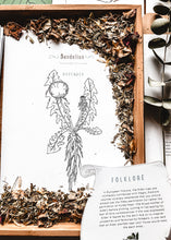 Load image into Gallery viewer, Herb and Folklore Almanac Full Year
