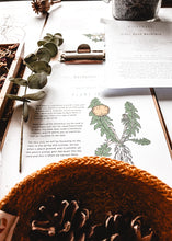 Load image into Gallery viewer, Herb and Folklore Almanac Full Year