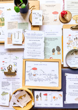 Load image into Gallery viewer, FUNGI study unit