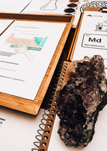Load image into Gallery viewer, Dimitri Mendeleev study unit