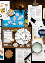 Load image into Gallery viewer, Beach Strandline study unit