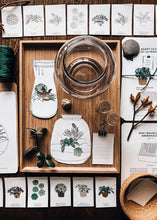 Load image into Gallery viewer, Terrarium study unit