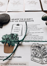 Load image into Gallery viewer, Terrarium study unit