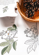 Load image into Gallery viewer, Herb and Folklore Almanac Full Year