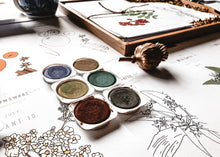 Load image into Gallery viewer, Herb and Folklore Almanac Full Year