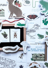 Load image into Gallery viewer, Hedgerow study unit