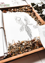 Load image into Gallery viewer, Herb and Folklore Almanac Full Year
