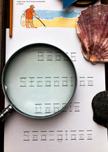 Load image into Gallery viewer, Beach Strandline study unit