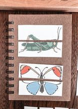 Load image into Gallery viewer, Toddler Bundle