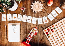 Load image into Gallery viewer, 12 days of christmas flashcards