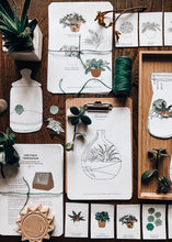 Load image into Gallery viewer, Terrarium study unit
