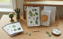 Load image into Gallery viewer, Summer Tree study