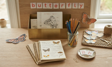 Load image into Gallery viewer, Butterflies Anatomy | Homeschooling Activities | Insect Study | Montessori | Waldorf | Nature Learning Resource