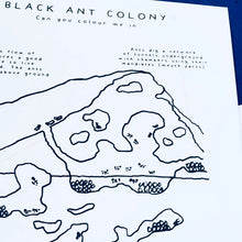 Load image into Gallery viewer, Black Garden Ant COLONY