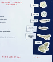 Load image into Gallery viewer, Guided Nature Play January