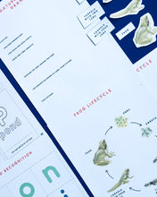 Load image into Gallery viewer, Guided Nature Play January