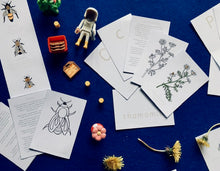 Load image into Gallery viewer, Wildflowers Home education learning resource