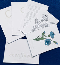 Load image into Gallery viewer, Wildflowers Home education learning resource