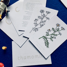 Load image into Gallery viewer, Wildflowers Home education learning resource