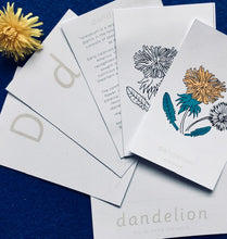 Load image into Gallery viewer, Wildflowers Home education learning resource