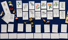 Load image into Gallery viewer, Wildflowers Home education learning resource