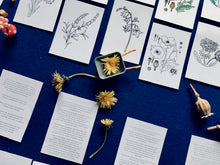 Load image into Gallery viewer, Wildflowers Home education learning resource