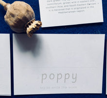 Load image into Gallery viewer, Wildflowers Home education learning resource