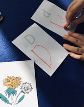 Load image into Gallery viewer, Wildflowers Home education learning resource