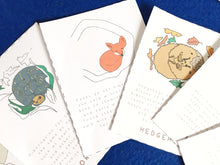 Load image into Gallery viewer, Winter Animals | Hibernation | Home education