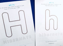 Load image into Gallery viewer, Winter Animals | Hibernation | Home education