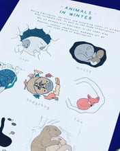 Load image into Gallery viewer, GERMAN Winter Animals | Hibernation | Home education