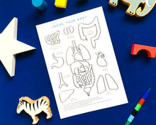Load image into Gallery viewer, Anatomy education | body parts | home school | inside the body | montessori | printable | kids craft