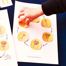 Load image into Gallery viewer, ITALIAN Dandelions | Dandelion Home School Printable | Education | Learning Resource