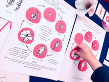 Load image into Gallery viewer, Magnolia Flower Lifecycle | Plant lifecycle | Home School | Flower Education