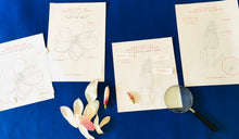 Load image into Gallery viewer, Magnolia Flower Anatomy | Home School | Flower Learning Resource | Montessori Learning