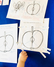 Load image into Gallery viewer, Apple Blossom Anatomy | Blossom | Home Schooling