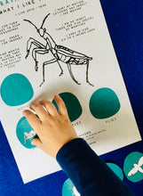 Load image into Gallery viewer, Praying Mantis Anatomy | Home Education | Learning Resource