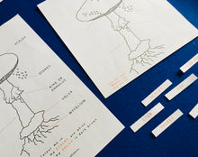 Load image into Gallery viewer, Mushroom Anatomy | Mushroom printable | Homeschool | Home Education | Learning | Montessori