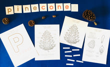 Load image into Gallery viewer, Pine cone anatomy | Evergreen printable | Home education | Homeschool | learning resources | Classroom Decor | Montessori