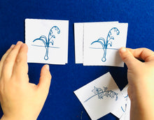 Load image into Gallery viewer, Bluebell Lifecycle | Bluebells Home Education | Learning Resource